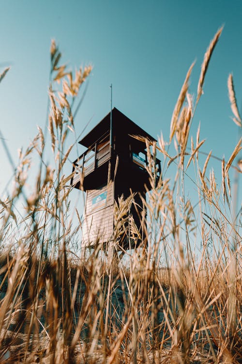 《更漏子·柳絲長》譯文、注釋及賞析