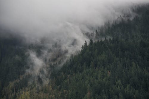 三國(guó)最強(qiáng)爭(zhēng)霸系統(tǒng)小說穿越男主劉云目錄閱讀 三國(guó)最強(qiáng)爭(zhēng)霸系統(tǒng)小說穿越男主劉云目錄閱讀