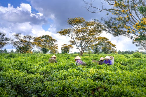 五年級(jí)觀后感《起跑線》