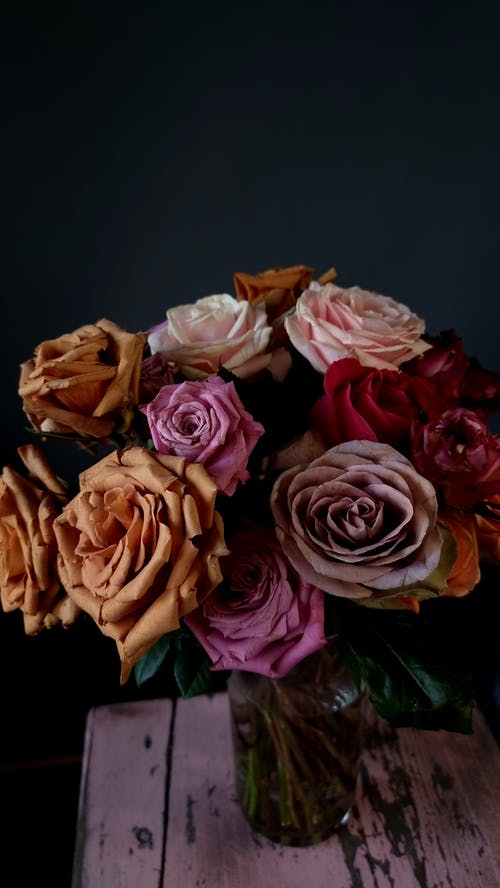 祝福同學(xué)老師的祝福語(yǔ)