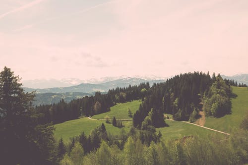 仙道破虛小說(shuō)by落情淚韓斌蕭雨瑤無(wú)錯(cuò)版閱讀