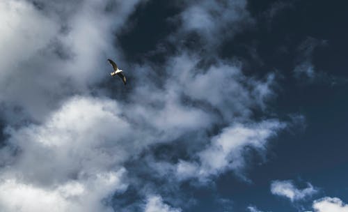 一個人在不在乎你，從這些事就看得出