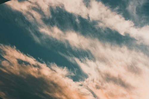 祝福長(zhǎng)輩生日的祝福語(yǔ)