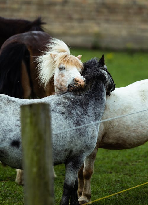 薄少逃妻太惹眼小說豪門安小萌薄嗣丞無彈窗閱讀