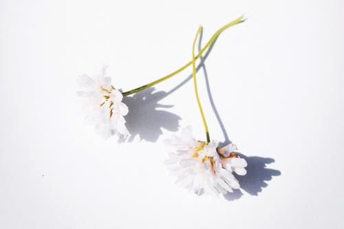 新學期新打算的日記500字