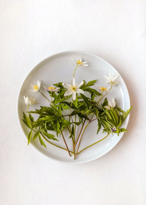 母親節(jié)經(jīng)典詩歌朗誦稿