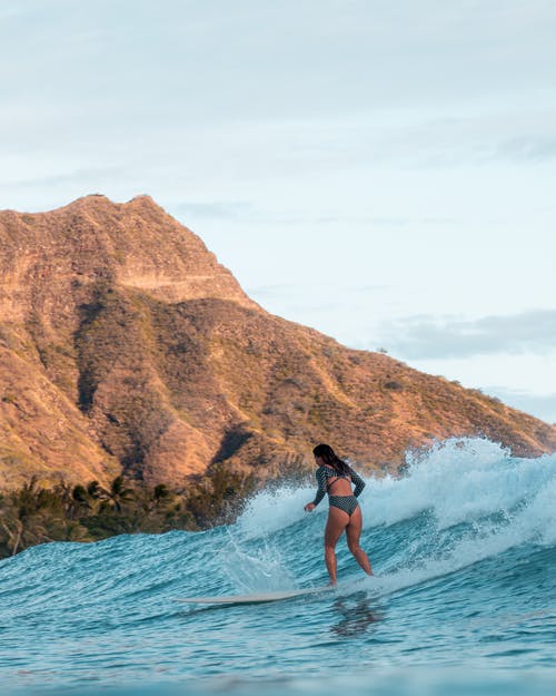 穿越龍鳳雙寶神醫(yī)娘親美又颯小說靖容姝徐璞全章節(jié)閱讀