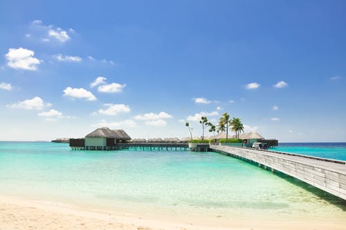 將軍夫人的馬甲又掉了小說胡黛玨沈冠無廣告閱讀