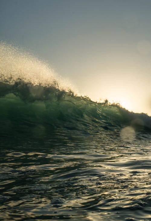 玄幻蓋世神帝小說(shuō)主角沈易無(wú)刪減閱讀
