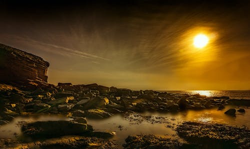 五年級(jí)話題作文讀書(shū)