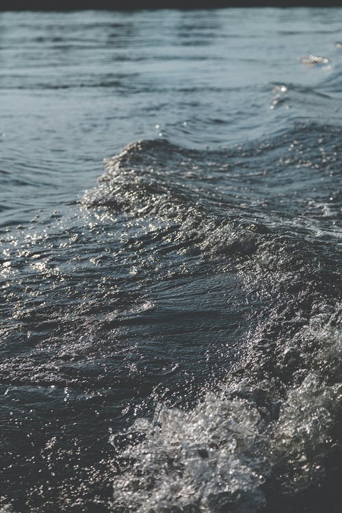 靈源大陸小說主角秦楓無彈窗閱讀 靈源大陸小說主角秦楓無彈窗閱讀