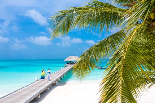 五年級書信致新型冠狀醫(yī)護人員的一封信