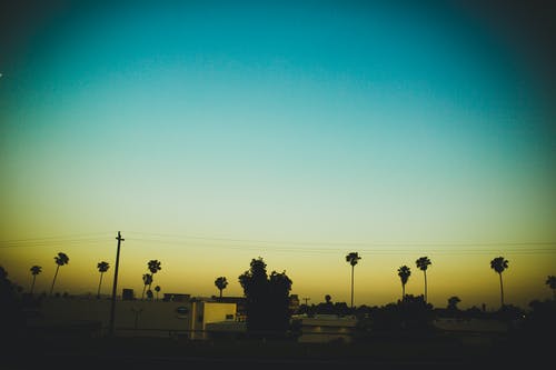 麥豆麥豆 麥豆麥豆