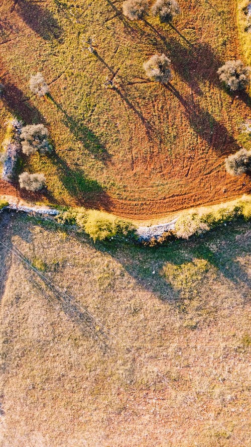 玄幻我的手下全是正道大佬小說主角云天河在線閱讀