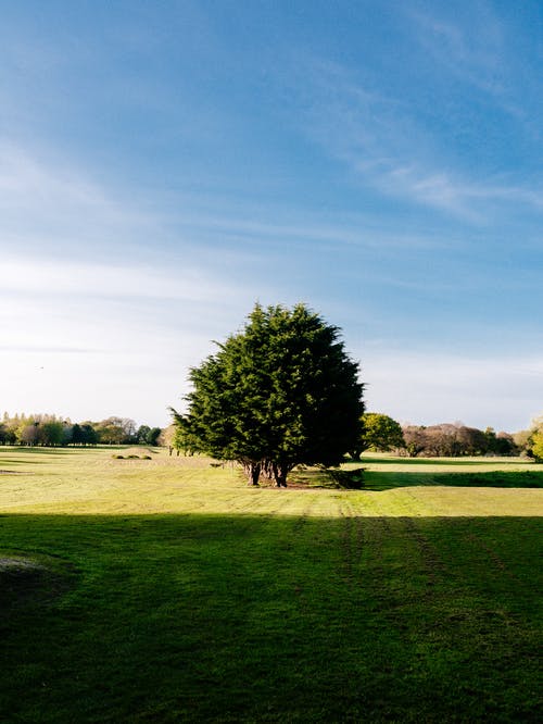 五年級(jí)敘事作文令人感動(dòng)的一幕