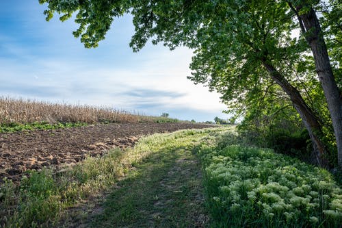 領(lǐng)導(dǎo)生日送花祝福語