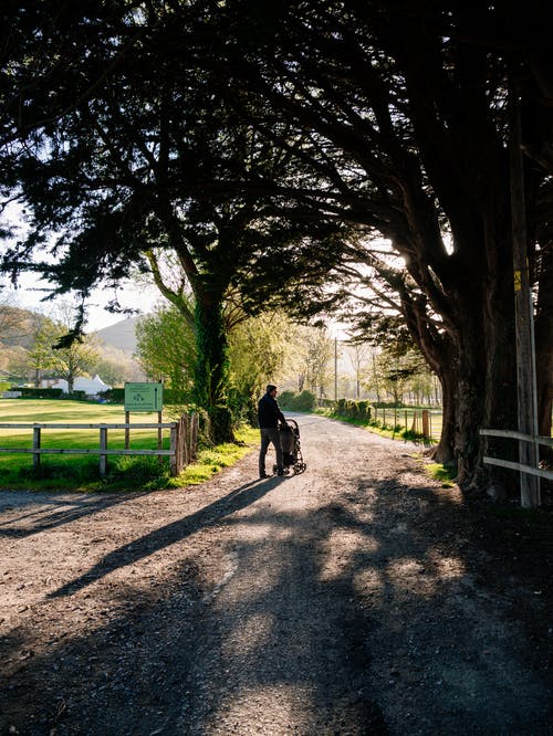 文言文翻譯十大失分點（四）語言不合規(guī)范