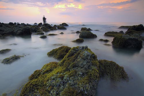 關(guān)于古詩作文集錦9篇