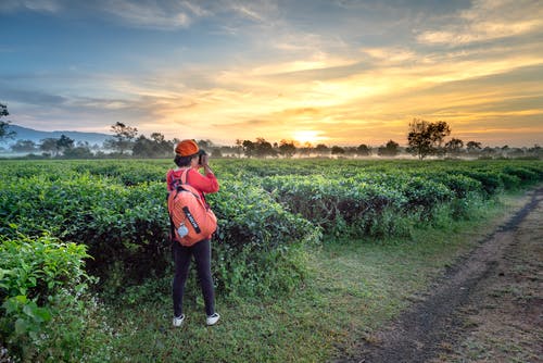 歲月無情，唯愿安好
