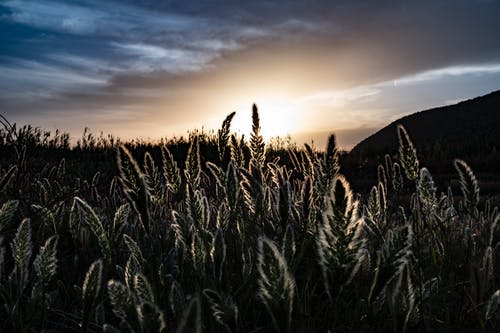 精選溫暖人心的元宵祝福語大集合33句