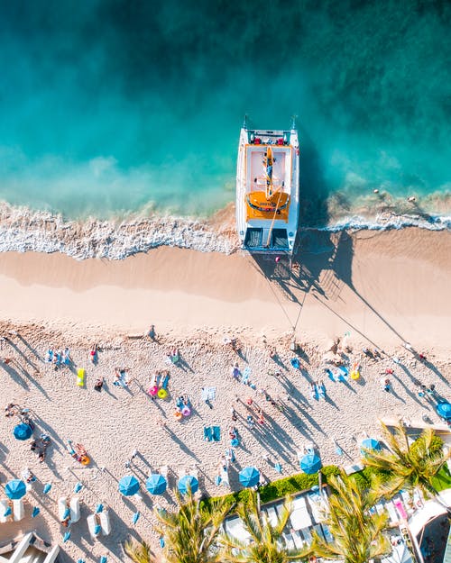 看戲節(jié)目單讀后感錦集