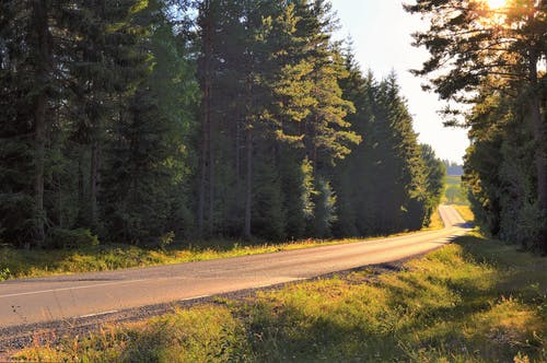 最強(qiáng)海王小說無廣告張偉王芳?xì)W雪晴章節(jié)閱讀