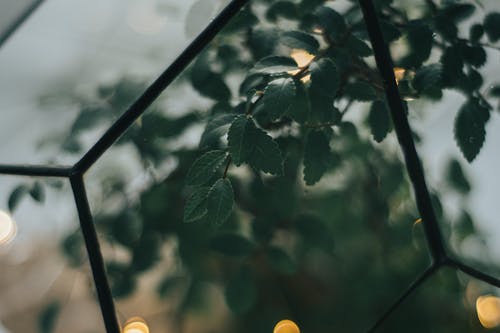 我的情敵不是人靈異小說越思南陸力遠(yuǎn)無廣告閱讀