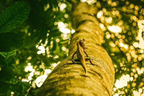 小品大話西游經(jīng)典臺(tái)詞