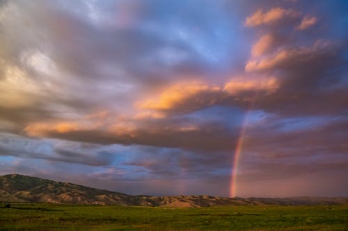 關(guān)于開學(xué)第一周日記