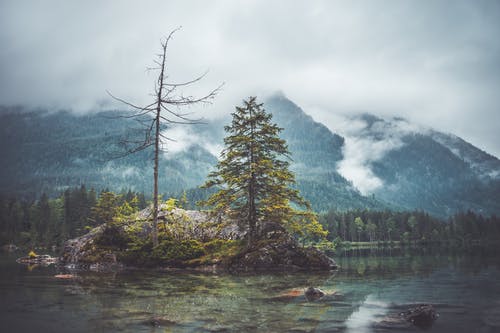 兵王閻羅殿小說(shuō)林天王子月在線閱讀 兵王閻羅殿小說(shuō)林天王子月在線閱讀