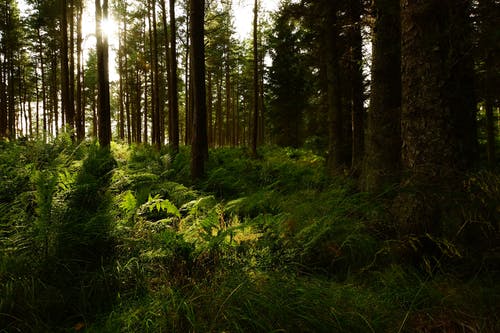 祝女兒20歲生日快樂祝福語
