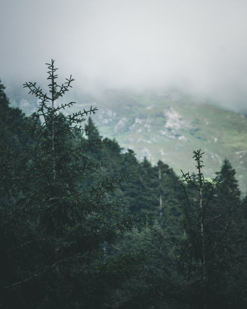 建國大業(yè)經(jīng)典臺詞