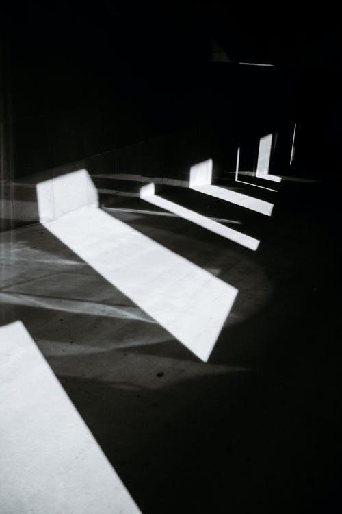 圣師龍婿都市小說楚凡陸瑤無刪減版閱讀