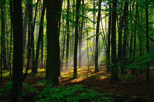 新書劉昂貂蟬劉子升穿越成皇子小說在線閱讀