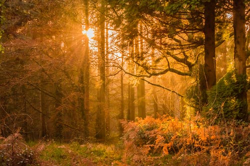 穿越被卡住小說修仙林沖老師傅全書閱讀