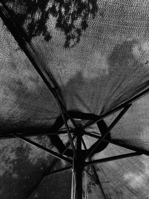 《滿江紅·送廖叔仁赴闕》的賞析