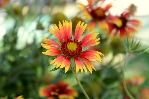 共享自信，是一種力量，亦是一種態(tài)度美文