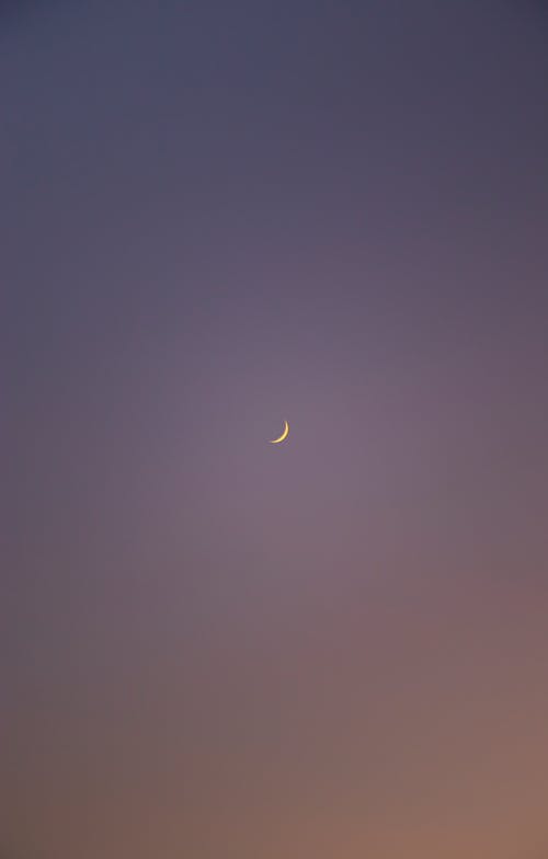 五年級寫人作文小妹妹