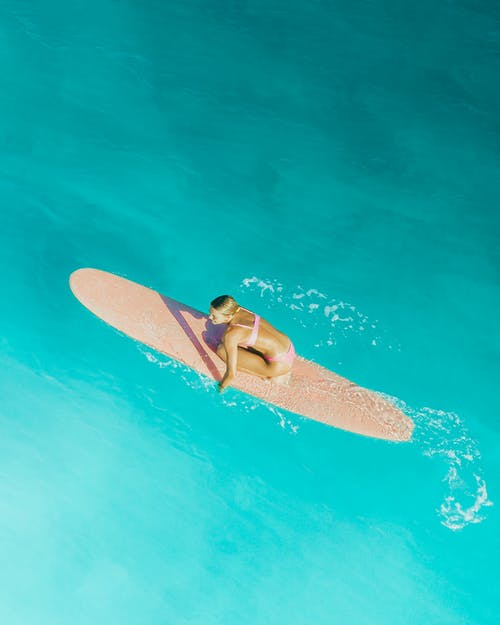 威震天下小說(shuō)連載中齊天臨夏白薇章節(jié)閱讀