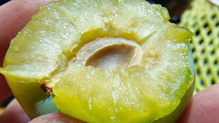 水果店可以做些什么活動吸引顧客，水果店的哪些優(yōu)惠活動吸引顧客