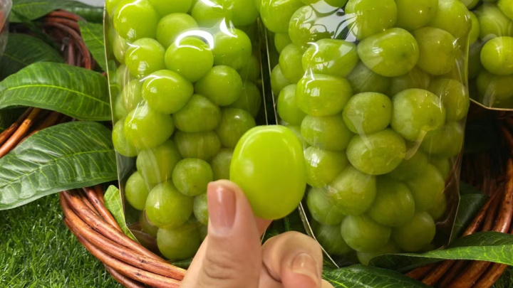 水果店可以做些什么活動吸引顧客，水果店的哪些優(yōu)惠活動吸引顧客