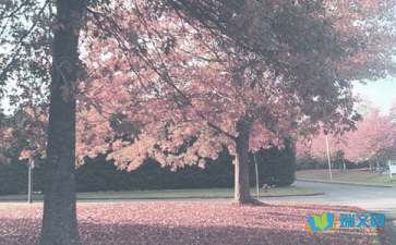 《秋季》散文隨筆