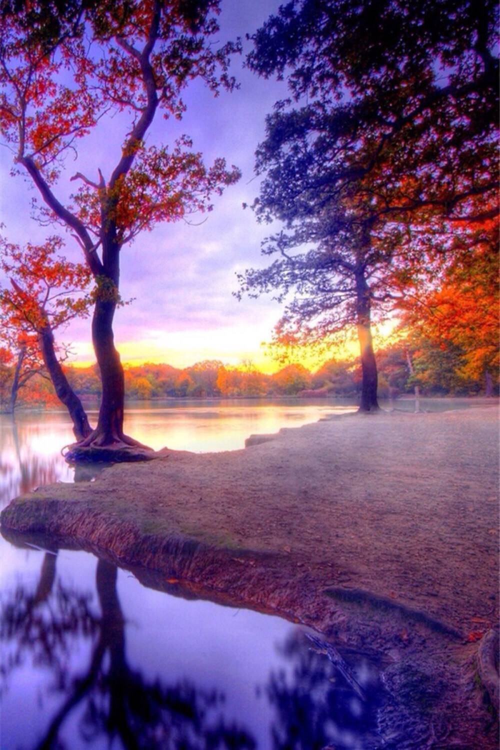 活動(dòng)策劃需要什么(分享一份好的活動(dòng)策劃方案)