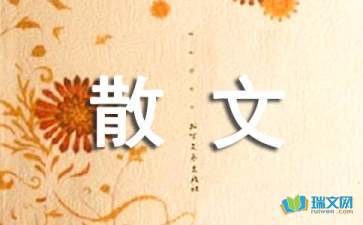 或許我們真的老了的隨筆散文