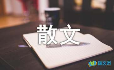 曾經(jīng)的你與現(xiàn)在的我散文隨筆