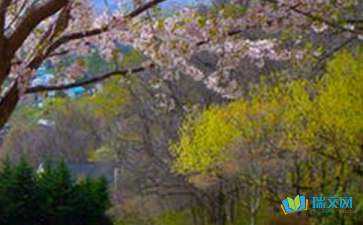 靚麗的風(fēng)景隨筆散文