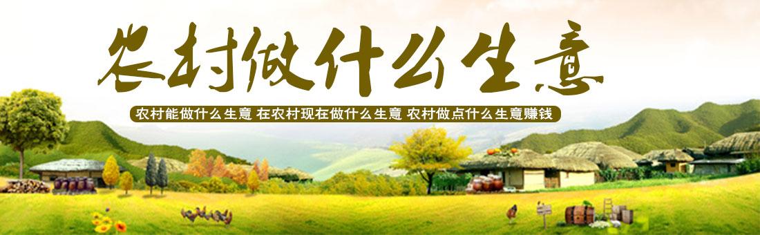 現(xiàn)在農(nóng)村自主創(chuàng)業(yè)做什么好？