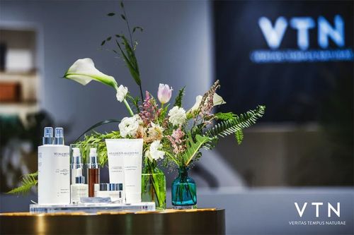 VTN是做什么的？