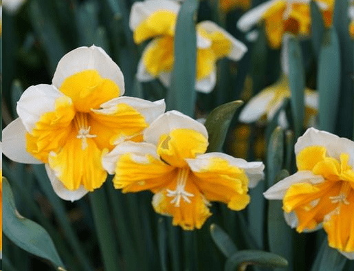 2019感覺心累的經(jīng)典說說 如今我累了，想放開了