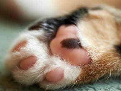 觸動人心的生活感悟經(jīng)典語錄(58條) 觸動人心的生活感悟經(jīng)典語錄(58條)